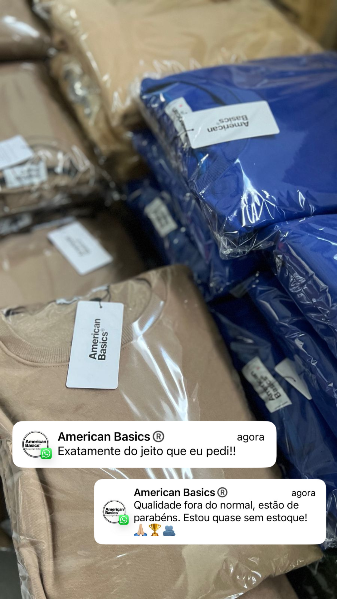 AMERICAN BASICS: